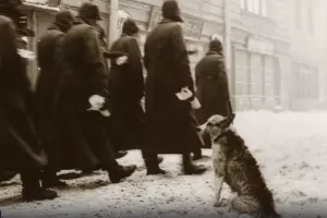 Кадр из фильма «Собачье сердце» &copy;&nbsp;Скриншот видео с Rutube-канала &laquo;Фильмач — фильмы и сериалы онлайн&raquo;