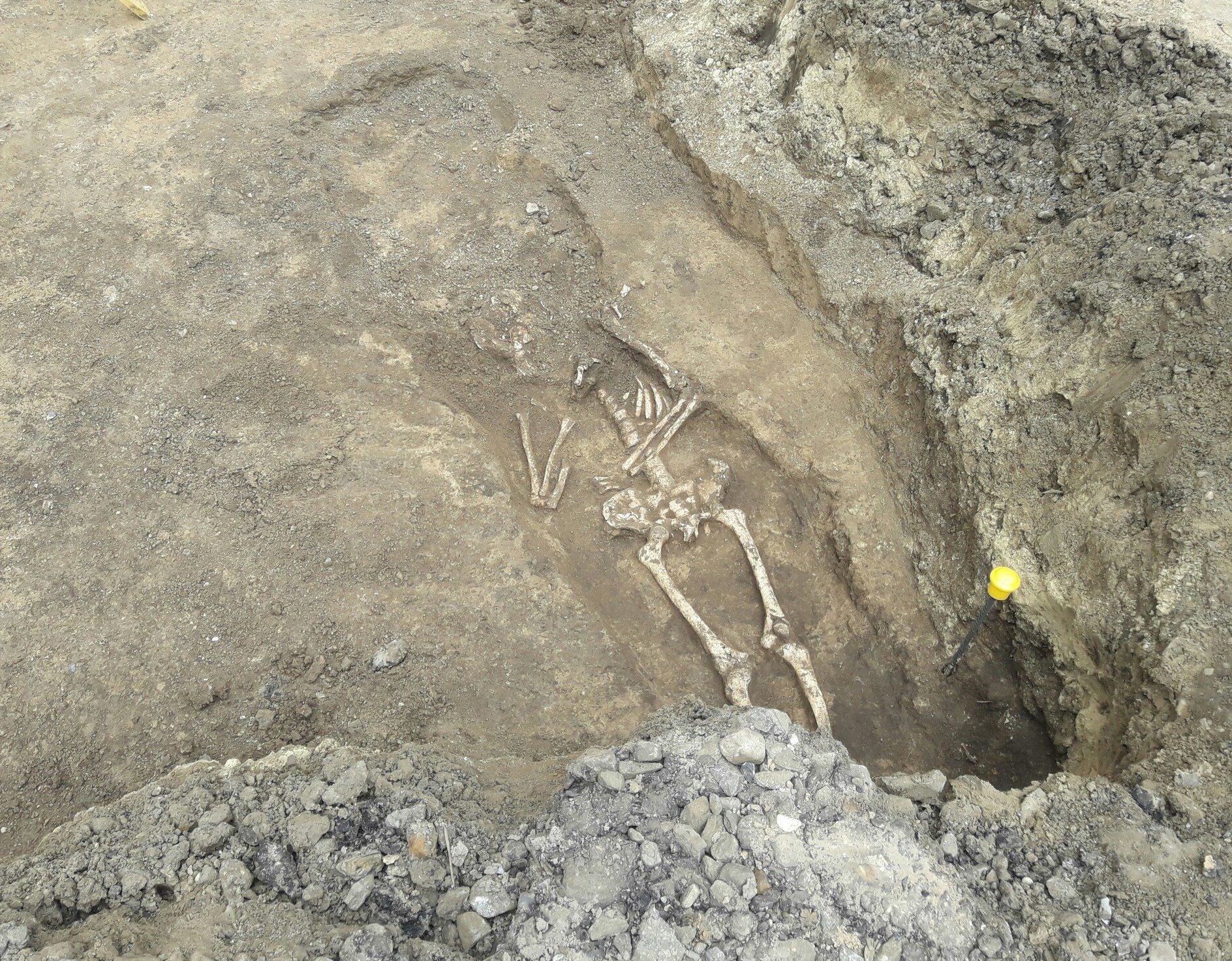 Музей изобразительных искусств ростов на дону на пушкинской. Музей изо на пушкинской в ростове-на-дону. Социалистическая 115 ростов на дону. Найдено в ростове на дону. Древние находки в ростове на дону.