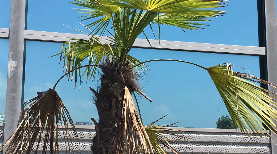  &copy;&nbsp;Фото Юлии Барановой, Юга.ру