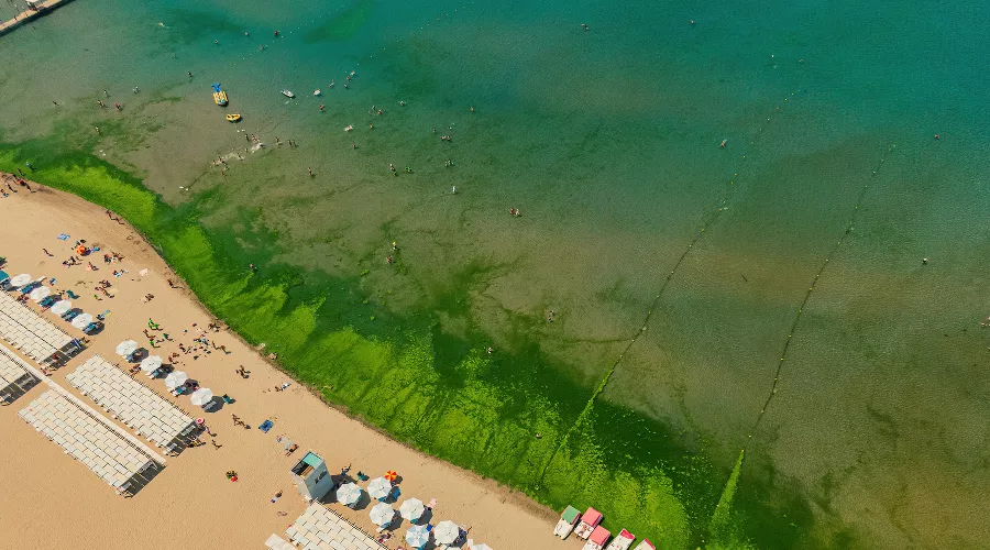  &copy;&nbsp;Фото Антона Быкова, Юга.ру