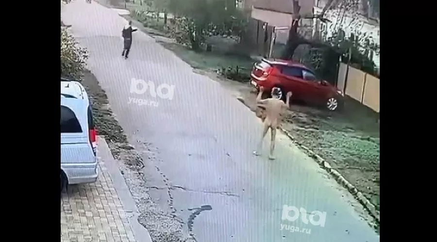  &copy;&nbsp;Фото предоставлено пабликом &laquo;Туподар&raquo; instagram.com/typodar