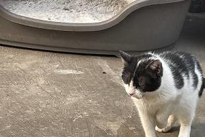  © Фото Даниила Вальца