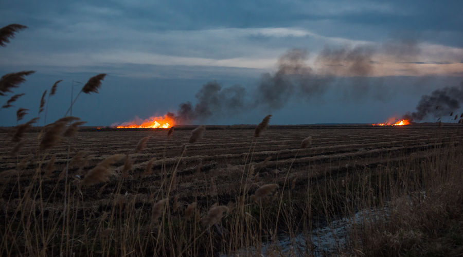  © Фото Елены Синеок, Юга.ру