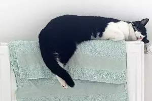  &copy;&nbsp;Фото Тины Бойцовой, Юга.ру