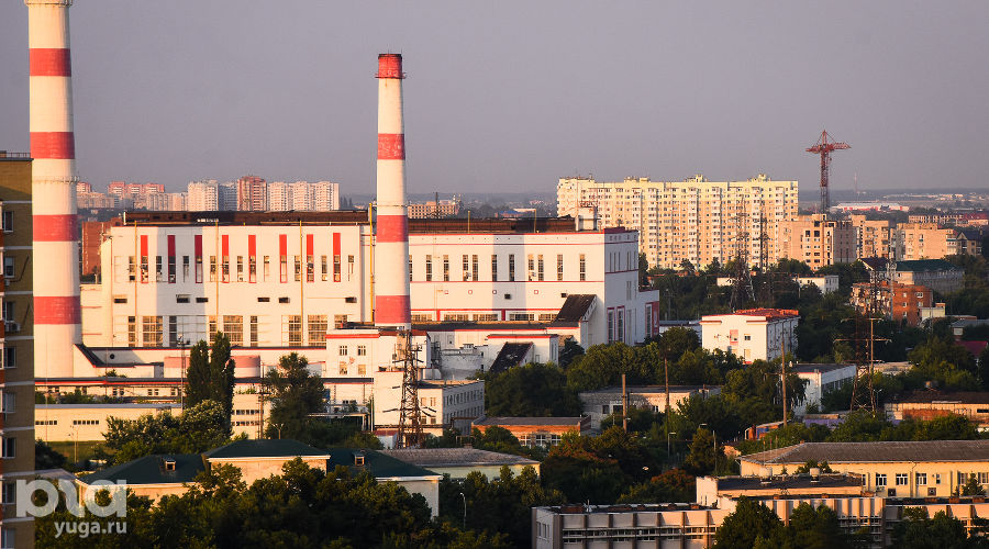  © Фото Елены Синеок, Юга.ру