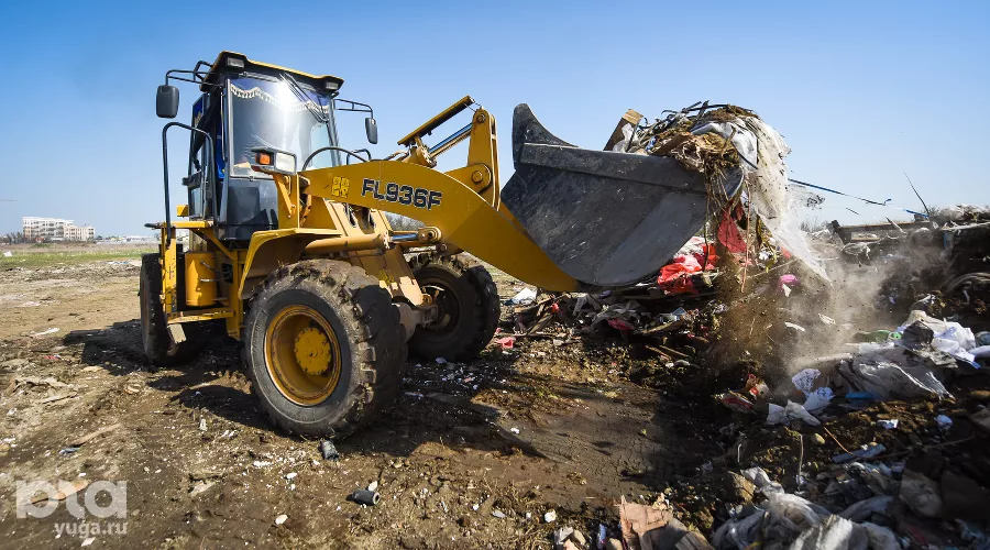  &copy;&nbsp;Фото Елены Синеок, Юга.ру