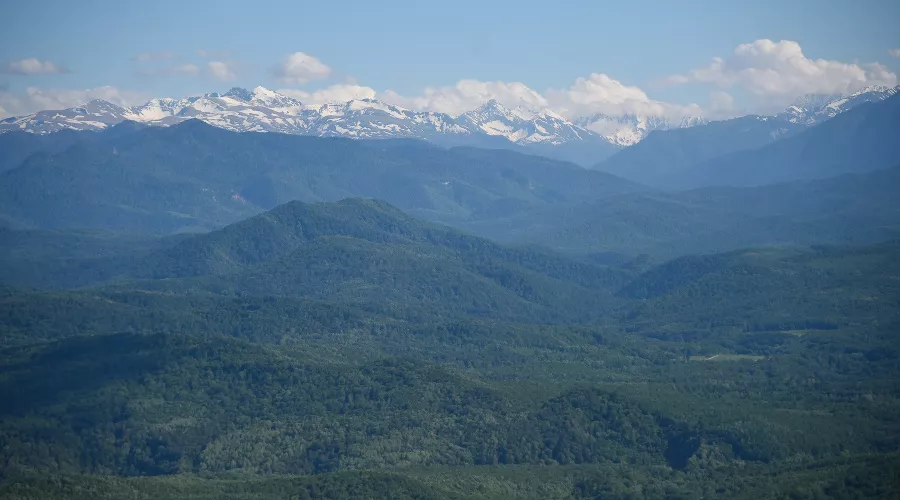  &copy;&nbsp;Фото Елены Синеок, Юга.ру