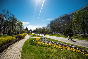  &copy;&nbsp;Фото Елены Синеок, Юга.ру