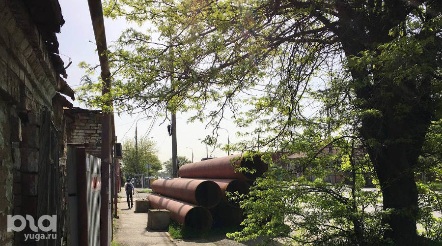  © Фото Антона Быкова, Юга.ру