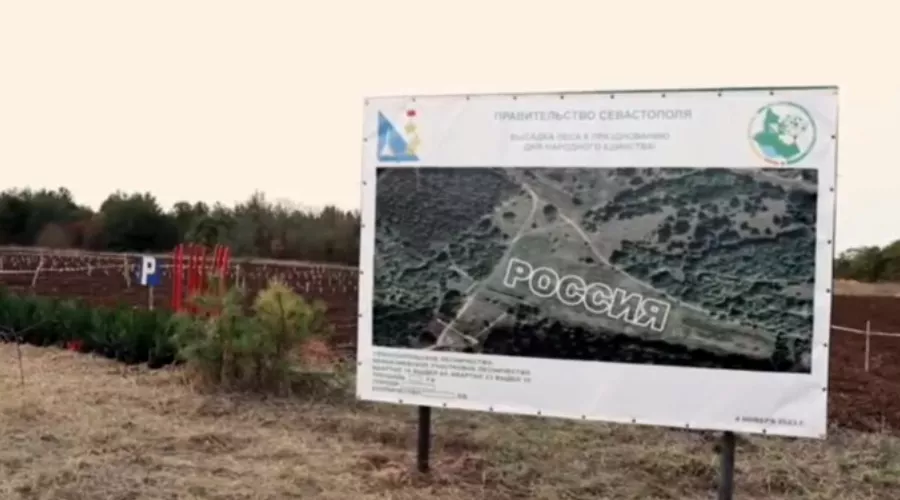 Надпись «Россия» в Мекензиевом лесничестве выполнена шрифтом Arial Black &copy;&nbsp;Скриншот видео в телеграм-канале Михаила Развожаева, T.me/razvozhaev