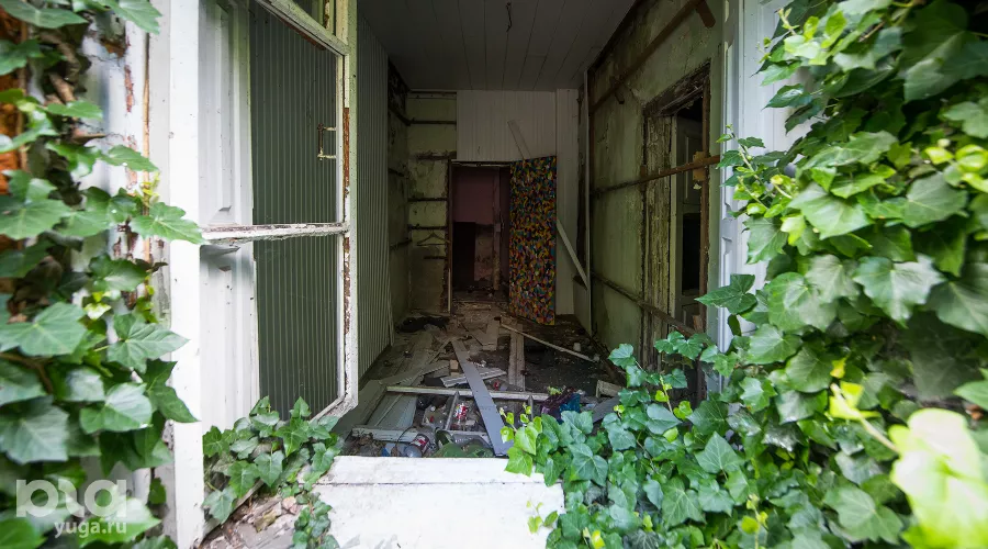  &copy;&nbsp;Фото Елены Синеок, Юга.ру