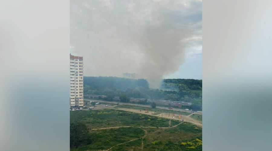 Пожар в Краснодарском лесопарке 20 мая 2023 года © Скриншот телеграм-канала GMRLIVE, T.me/gmrlive