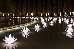 Парк &laquo;Краснодар&raquo;  с новогодней подсветкой &copy;&nbsp;Фото Елены Синеок, Юга.ру