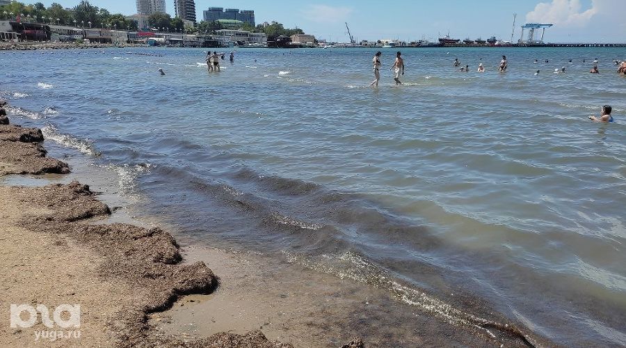 Пляж в Анапе © Фото Иолины Грибковой, Юга.ру