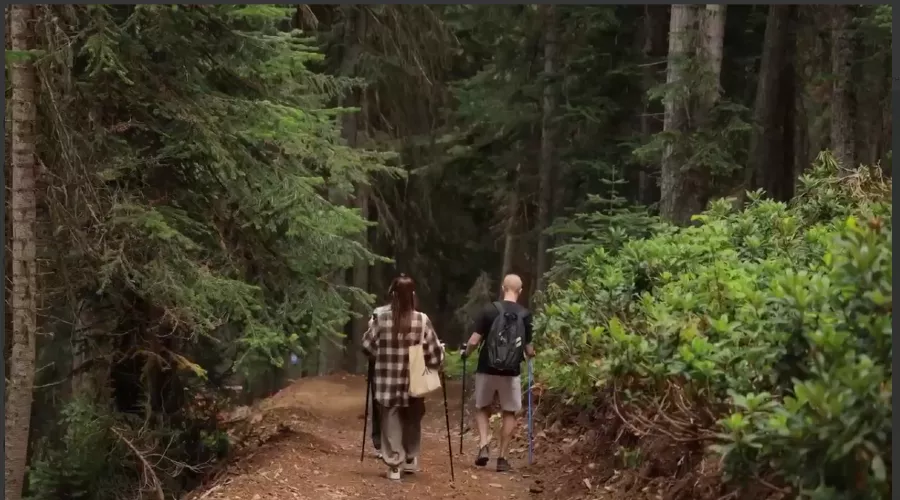  &copy;&nbsp;Скриншот видео из телеграм-канала &laquo;Архыз24&raquo;