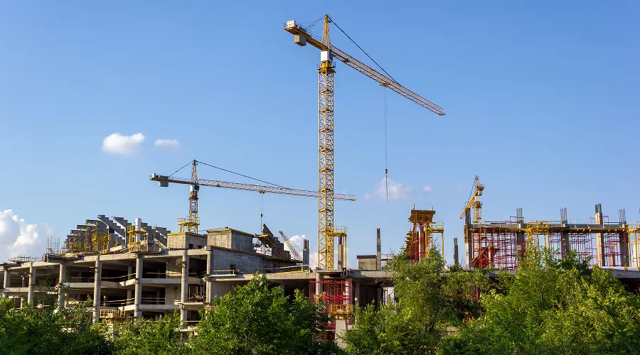  &copy;&nbsp;Фото driashkin, freepik.com