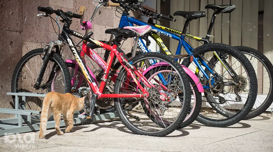  &copy;&nbsp;Фото Елены Синеок, Юга.ру