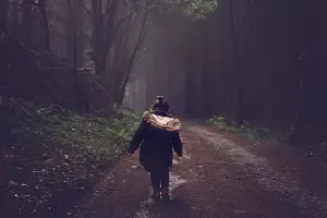  &copy;&nbsp;Фото с сайта pixabay.com