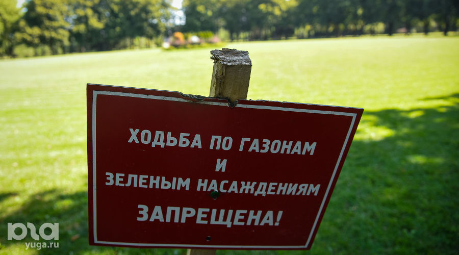  © Фото Елены Синеок, Юга.ру