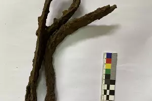  &copy;&nbsp;Фото пресс-службы Росавтодора