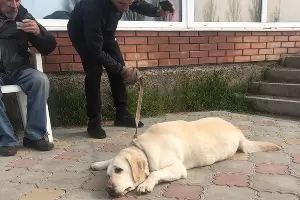  &copy;&nbsp;Фото из личного архива Веры Мартыновой