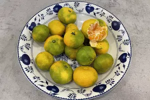 Мандарины &copy;&nbsp;Фото Олеси Шубиной, Юга.ру