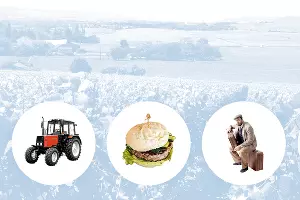  &copy;&nbsp;Коллаж Дмитрия Филиппова, Юга.ру