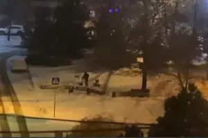  &copy;&nbsp;Кадр из видео телеграм-канала t.me/tipichkras