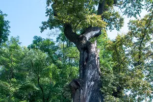  &copy;&nbsp;Фото Дмитрия Пославского, Юга.ру