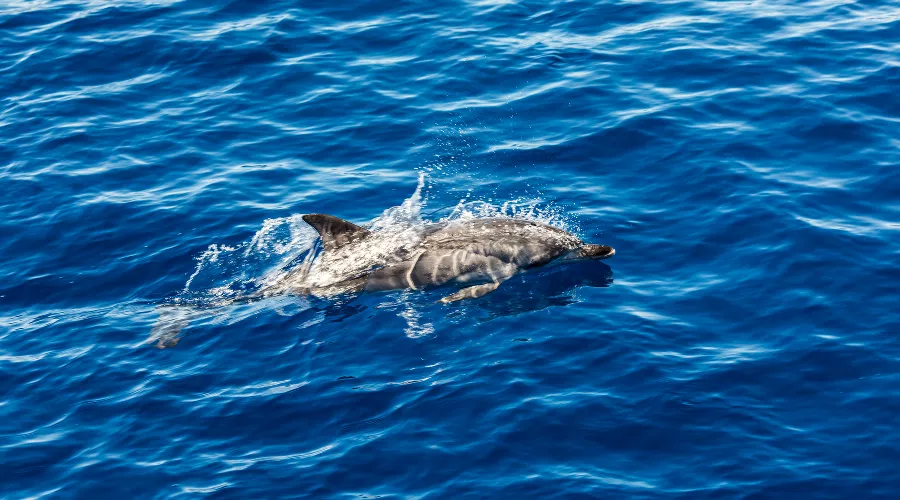  &copy;&nbsp;Фото diana.grytsku, сайт freepik.com