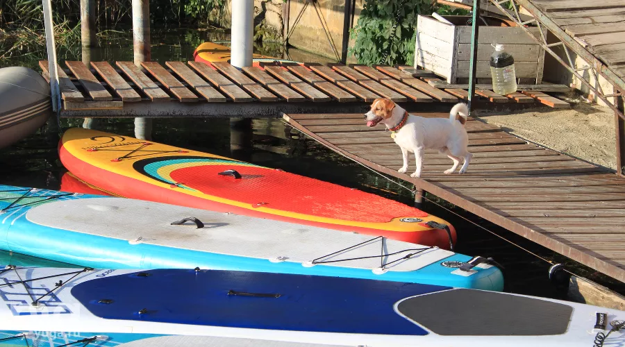  &copy;&nbsp;Фото Марины Солошко, Юга.ру