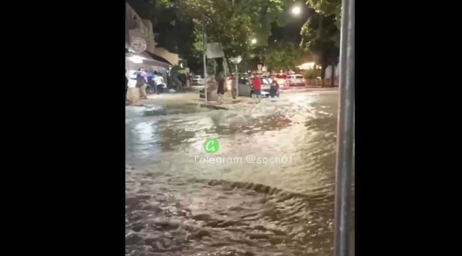  © Скриншот из телеграм-канала «Сочи №1», t.me/soch01