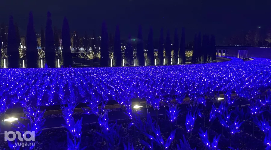  &copy;&nbsp;Фото Олеси Шубиной, Юга.ру