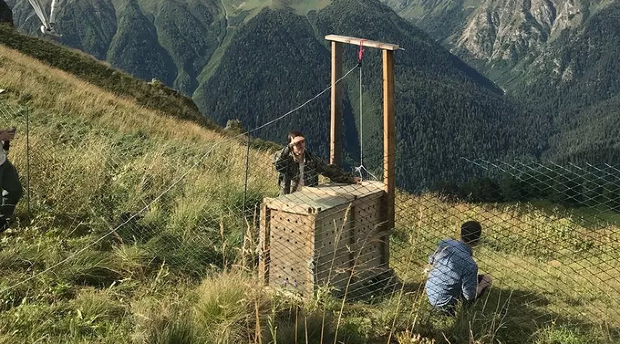  &copy;&nbsp;Фото пресс-службы Кавказского заповедника