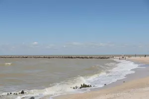  &copy;&nbsp;Скриншот фото из телеграм-канала &laquo;Администрация Краснодарского края&raquo;