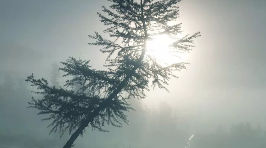  &copy;&nbsp;Фото предоставлено пресс-службой музея им. Ф.А. Коваленко