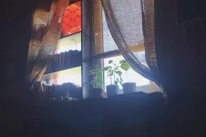  &copy;&nbsp;Фото Андрея Севоплясова