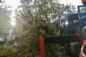  © Фото пресс-службы Упрдор «Черноморье»