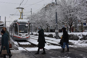 Снег в Краснодаре © Фото Елены Синеок, Юга.ру