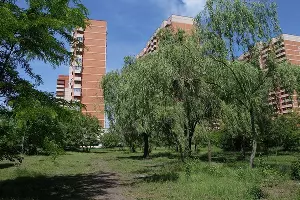  &copy;&nbsp;Фото пресс-службы администрации Краснодара