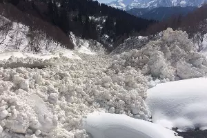  &copy;&nbsp;Фото Кавказского заповедника