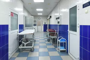  &copy;&nbsp;Фото Елены Синеок, Юга.ру