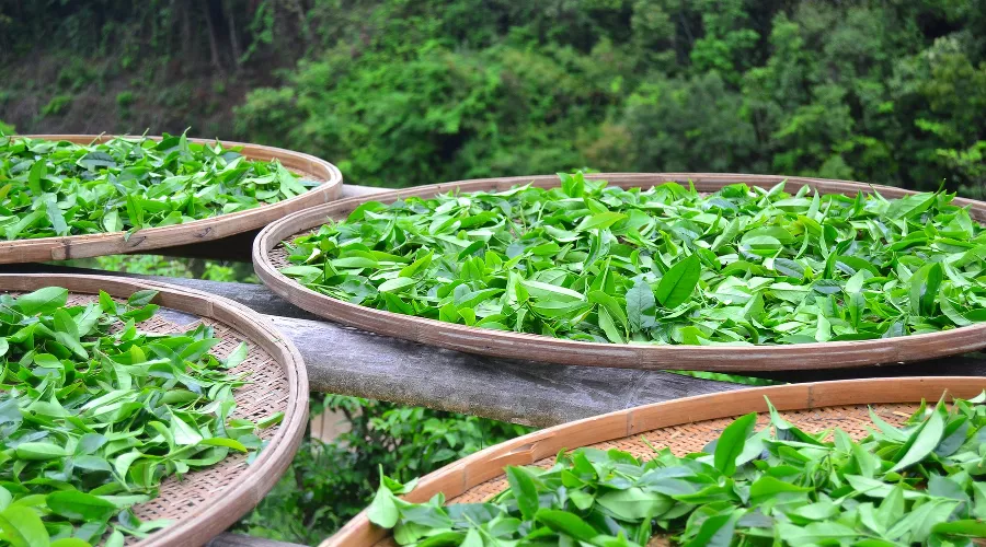  &copy;&nbsp;Фото с сайта pixabay.com