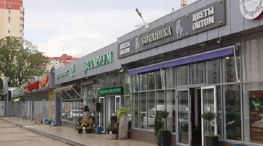 Цветочная ярмарка в Краснодаре &copy;&nbsp;Фото пресс-службы администрации Краснодара