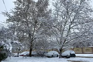Снег в Краснодаре &copy;&nbsp;Фото Валерии Дульской, Юга.ру