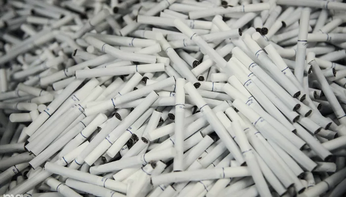  &copy;&nbsp;Фото Елены Синеок, Юга.ру