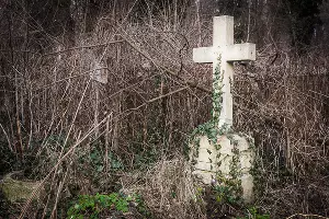 Всесвятское кладбище &copy;&nbsp;Фото Елены Синеок, Юга.ру