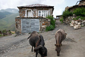 Развитие агротуризма в Северной Осетии &copy;&nbsp;Влад Александров, ЮГА.ру