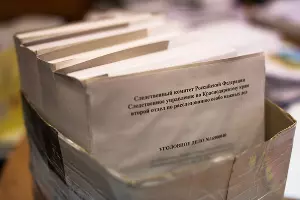  &copy;&nbsp;Елена Синеок, Юга.ру