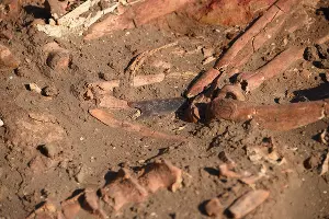  &copy;&nbsp;Фото информационной службы ДГТУ